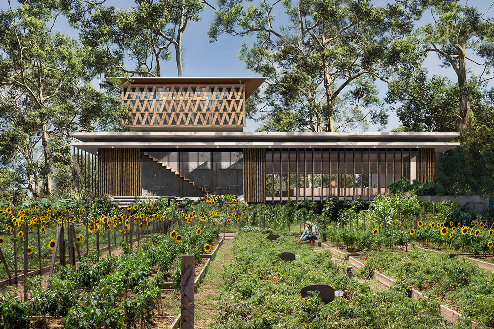 casa Kouki